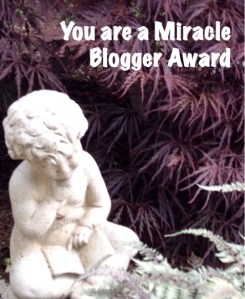 miraclebloggeraward