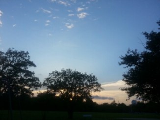 20140421_192251.jpg image