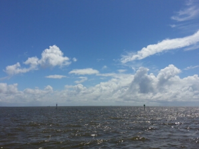 20140603_110649.jpg image