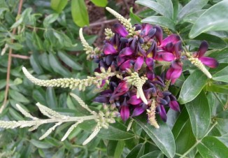 20140609_141038-1.jpg image