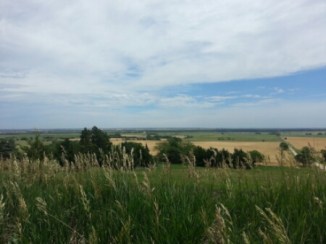 20140621_123031.jpg image