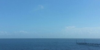 20140901_105828-1.jpg image