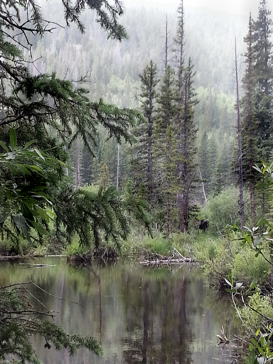 2015-01-07 22.40.19.png image