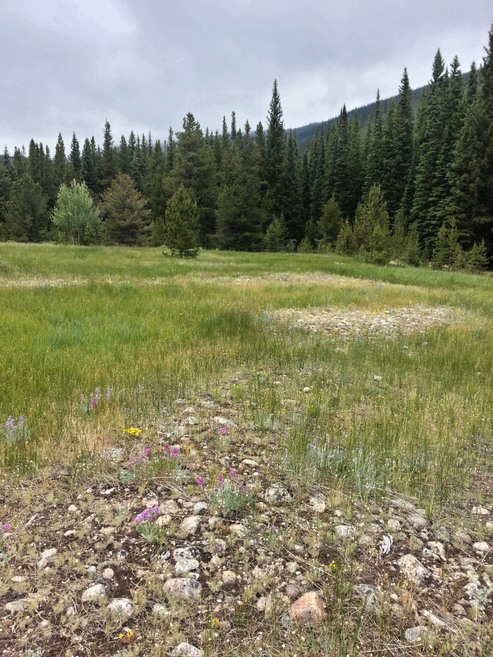 2015-02-25 01.25.08.png image