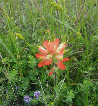 2015-03-22 20.04.26.png image