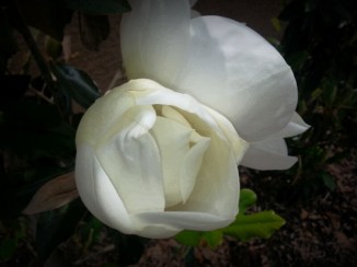 2015-04-26 19.09.00.png image