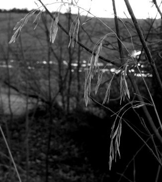 2016-04-09 21.13.00.jpg image